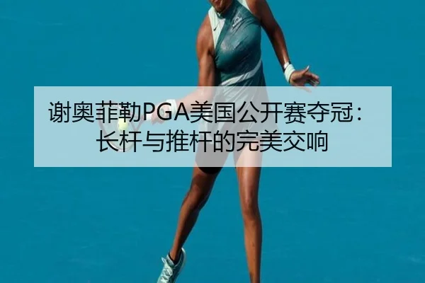 xie-ao-fei-lei-mei-guo-gong-kai-sai-duo-guan-zhang-gan-yu-tui-gan-de-wan-mei-jiao-xiang-3-669.jpg