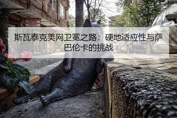 si-wa-tai-ke-mei-wang-wei-mian-zhi-lu-ying-di-shi-ying-xing-yu-sa-ba-lun-ka-de-tiao-zhan-3-546.jpg