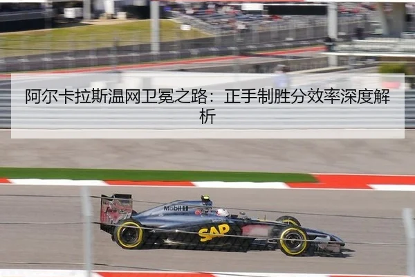 a-er-ka-la-si-wen-wang-wei-mian-zhi-lu-zheng-shou-zhi-sheng-fen-xiao-lv-shen-du-jie-xi-2-294.jpg
